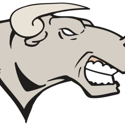 AR BULL 18 RC Thumbnail